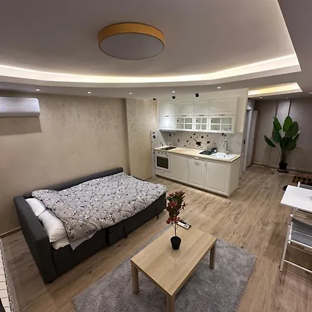 Airport Nest Διαμέρισμα *