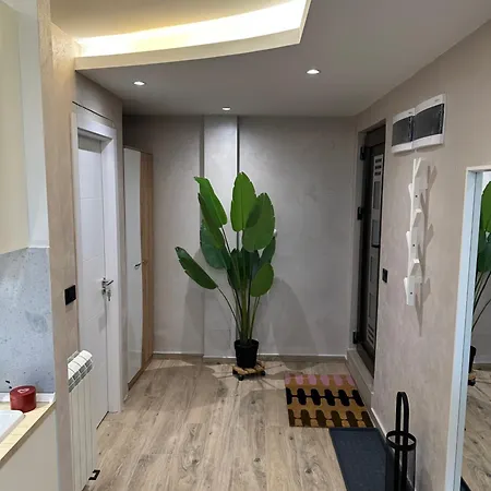 Airport Nest بلغراد